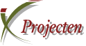 Projecten